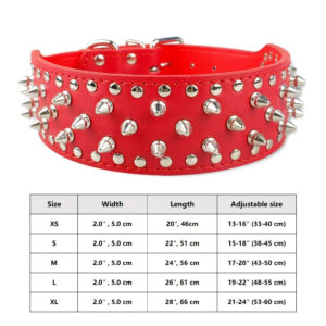 Spiked Canine Collar