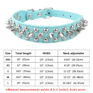 Spiked Canine Collar