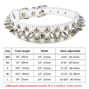 Spiked Canine Collar