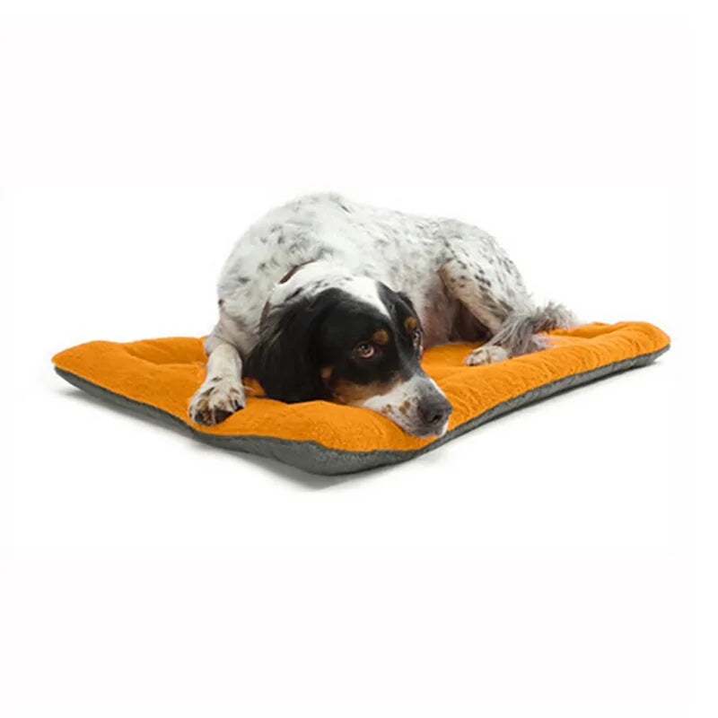 Cozy Dog Bed