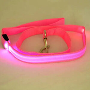 LED Dog Leash