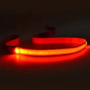 LED Dog Leash