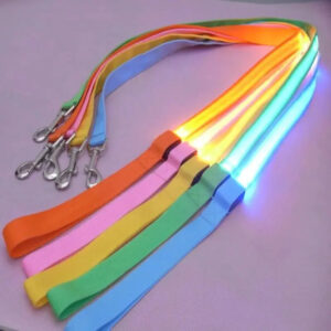 LED Dog Leash